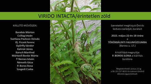 VIRIDO INTACTA/érintetlen zöld